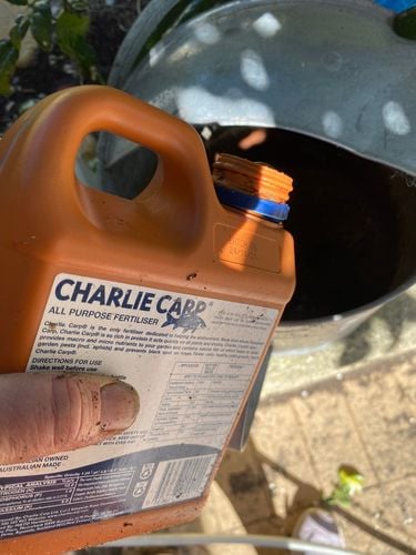 IMG_0854.jpeg IMG_0854.jpeg