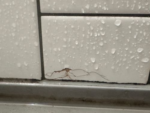 IMG_3188.jpeg IMG_3188.jpeg