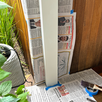 2.2 Masking the area 2.png 2.2 Masking the area 2.png