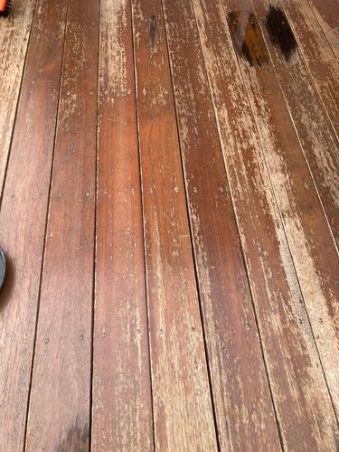 4A28A00E-3CDE-4A89-92D6-45057F15AF51.jpeg 4A28A00E-3CDE-4A89-92D6-45057F15AF51.jpeg