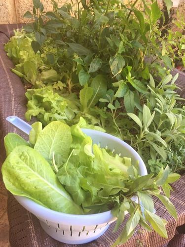 18D0FC99-46F5-49D4-A86E-AC6B5FDAAD76.jpeg 18D0FC99-46F5-49D4-A86E-AC6B5FDAAD76.jpeg