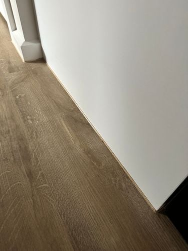 IMG_8812.jpeg IMG_8812.jpeg