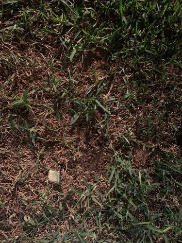 NateZheng_5-1695040634426.jpeg NateZheng_5-1695040634426.jpeg