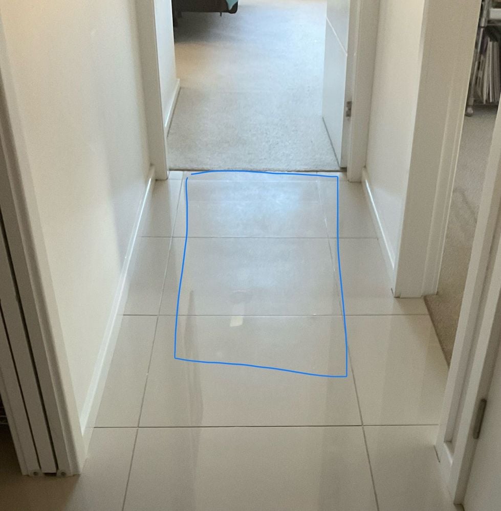 IMG_0999.jpeg IMG_0999.jpeg