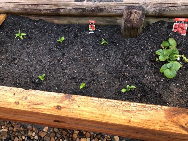 DBADA3FE-EC60-49B1-9E79-9FA61413536E.jpeg DBADA3FE-EC60-49B1-9E79-9FA61413536E.jpeg