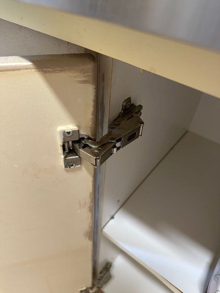 IMG_7043.jpeg IMG_7043.jpeg