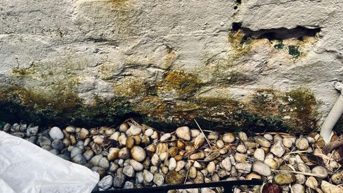 IMG_8310.jpeg IMG_8310.jpeg