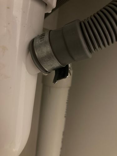 IMG_7595.jpeg IMG_7595.jpeg