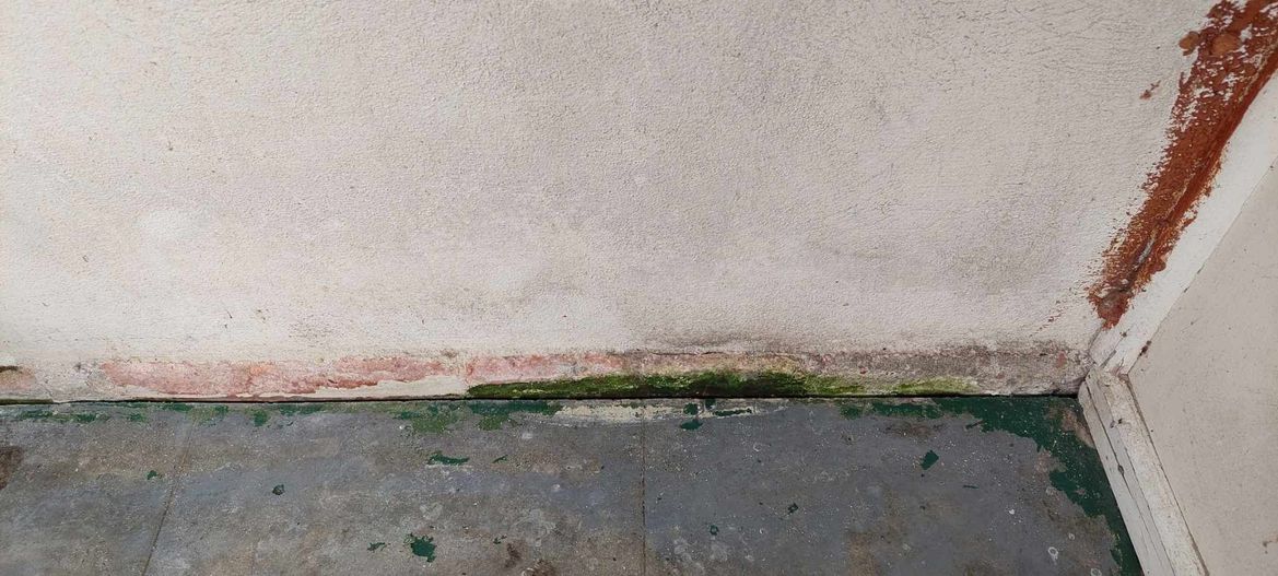 received_3366203963526418.jpeg received_3366203963526418.jpeg