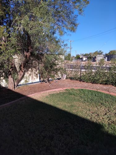 IMG_20250316_074057.jpg IMG_20250316_074057.jpg