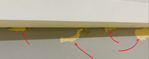 Sugar_1-1725972928566.png Sugar_1-1725972928566.png