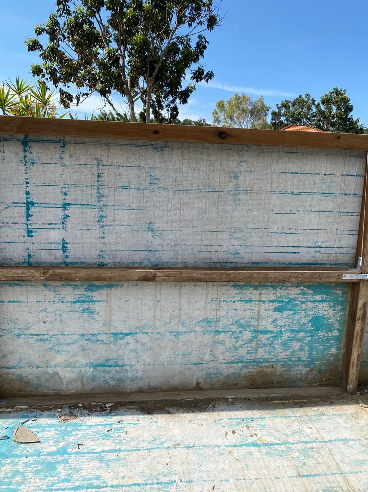 IMG_6749.jpg IMG_6749.jpg