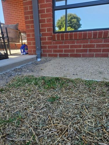 1000044967.jpg 1000044967.jpg