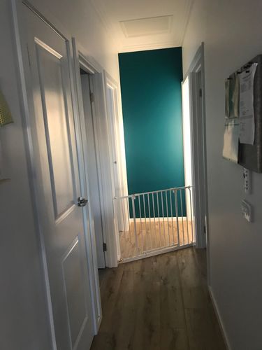 2457E251-BE30-4562-AA3A-7B55AEF62558.jpeg 2457E251-BE30-4562-AA3A-7B55AEF62558.jpeg