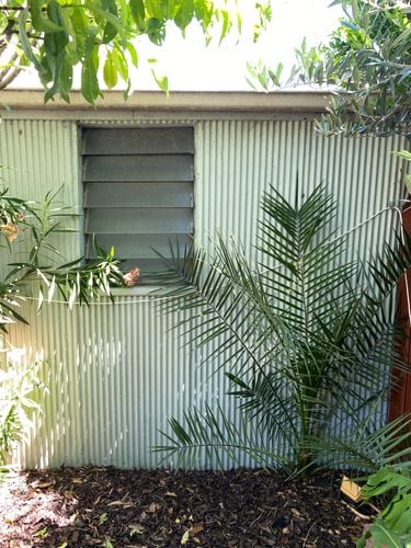 IMG_7455.JPG IMG_7455.JPG