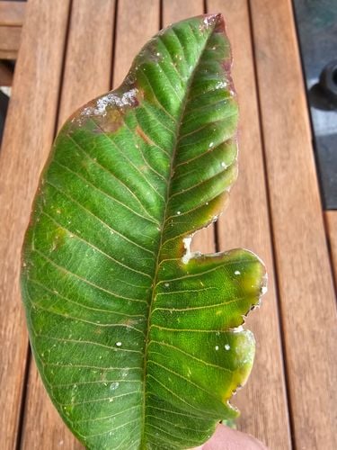 20231128_154608.jpg 20231128_154608.jpg