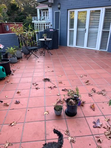 IMG_3436.jpeg IMG_3436.jpeg