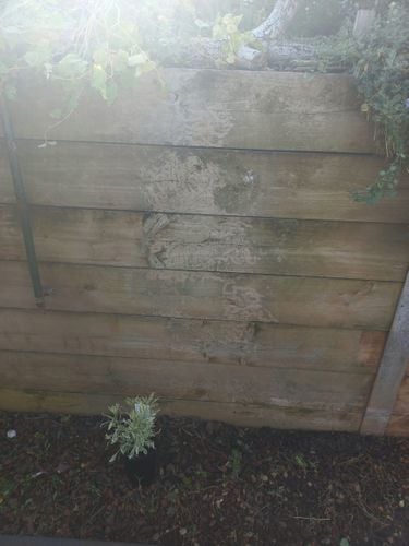 20250511_125045.jpg 20250511_125045.jpg