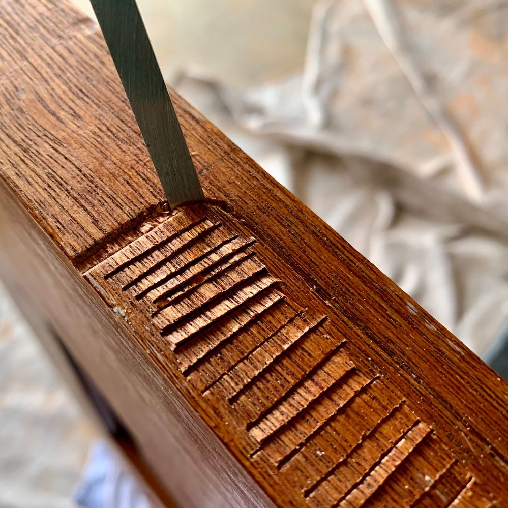 IMG_3173.jpeg IMG_3173.jpeg