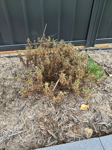 IMG_2607.jpeg IMG_2607.jpeg