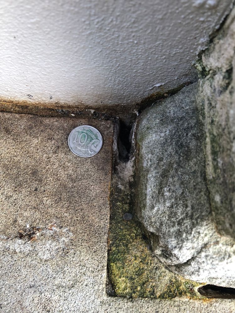 IMG_4604.jpeg IMG_4604.jpeg