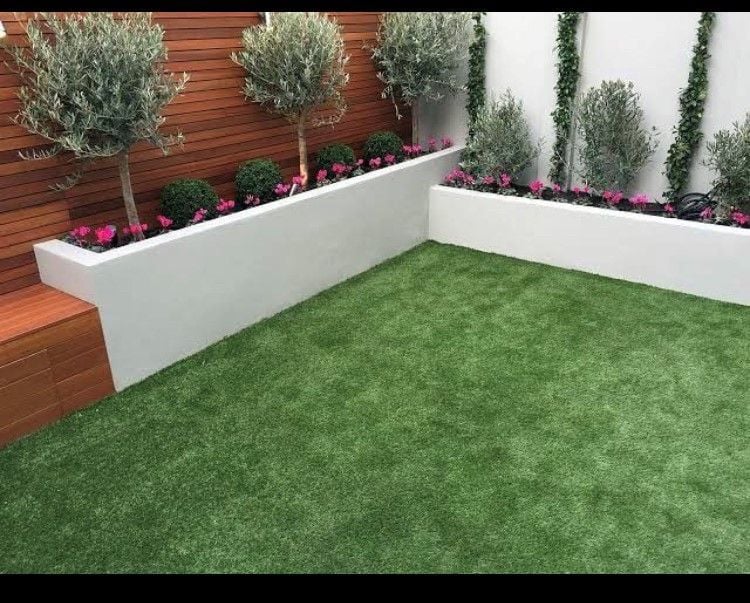 backyard.jpg backyard.jpg