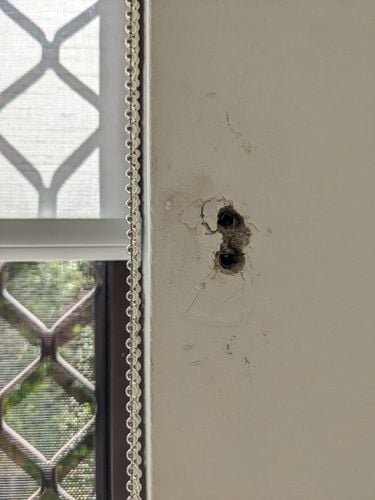 PXL_20240319_020002106.jpg PXL_20240319_020002106.jpg