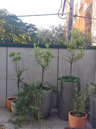 20240330_185223.jpg 20240330_185223.jpg