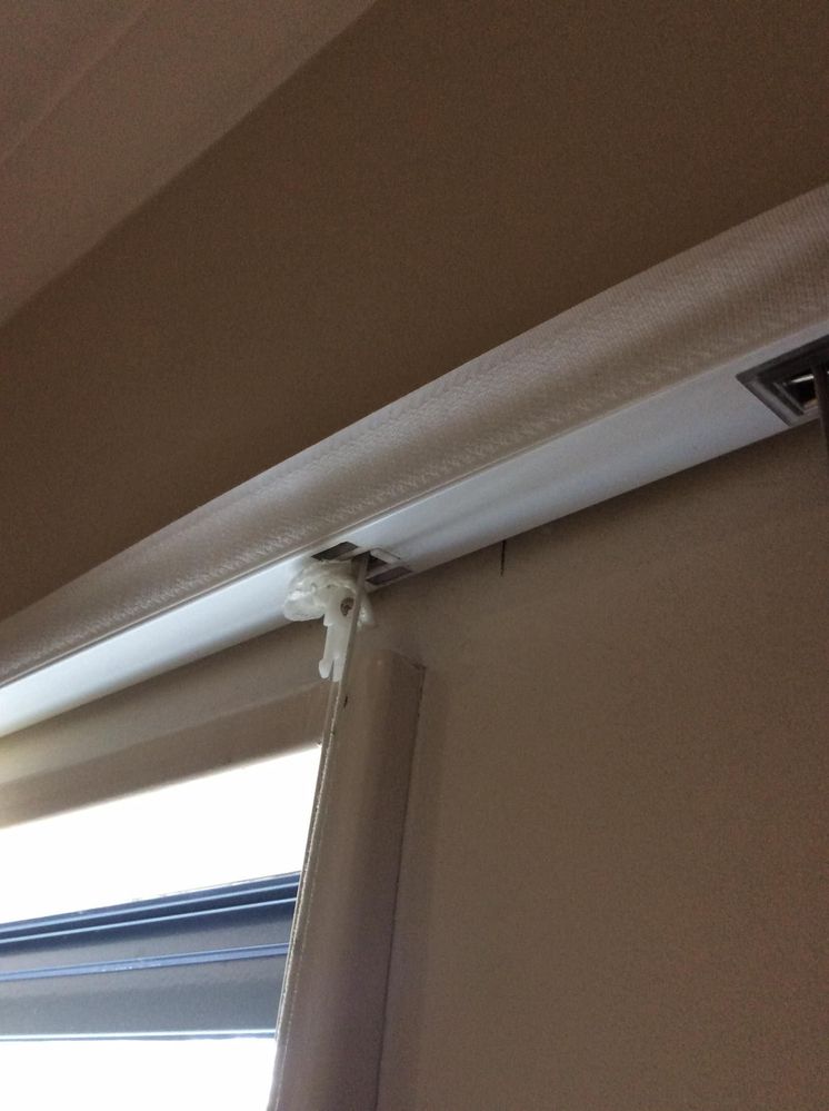 380558686_1266866457308903_6028821736326255081_n.jpg 380558686_1266866457308903_6028821736326255081_n.jpg