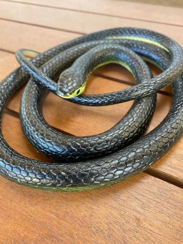 88058A16-DB19-4A7E-AC53-484184AD9FDF.jpeg 88058A16-DB19-4A7E-AC53-484184AD9FDF.jpeg