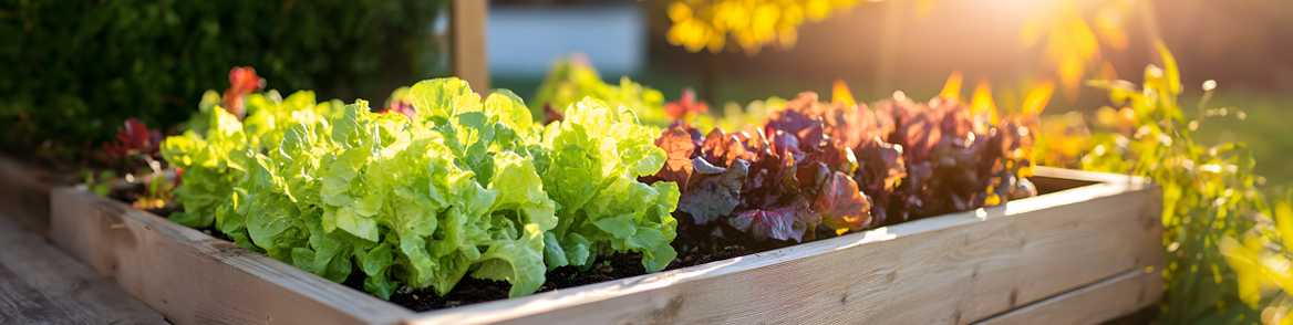 Sleeper raised garden bed.png Sleeper raised garden bed.png