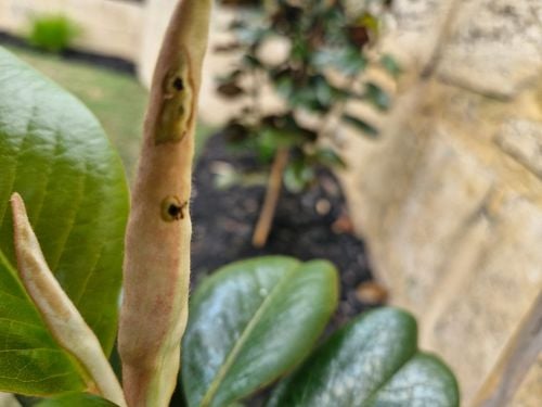 20251106_094752.jpg 20251106_094752.jpg