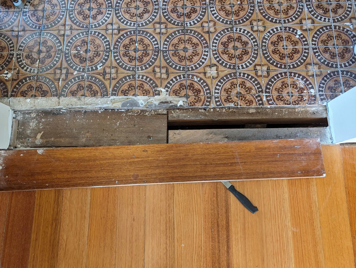 PXL_20240304_003629125.jpg PXL_20240304_003629125.jpg