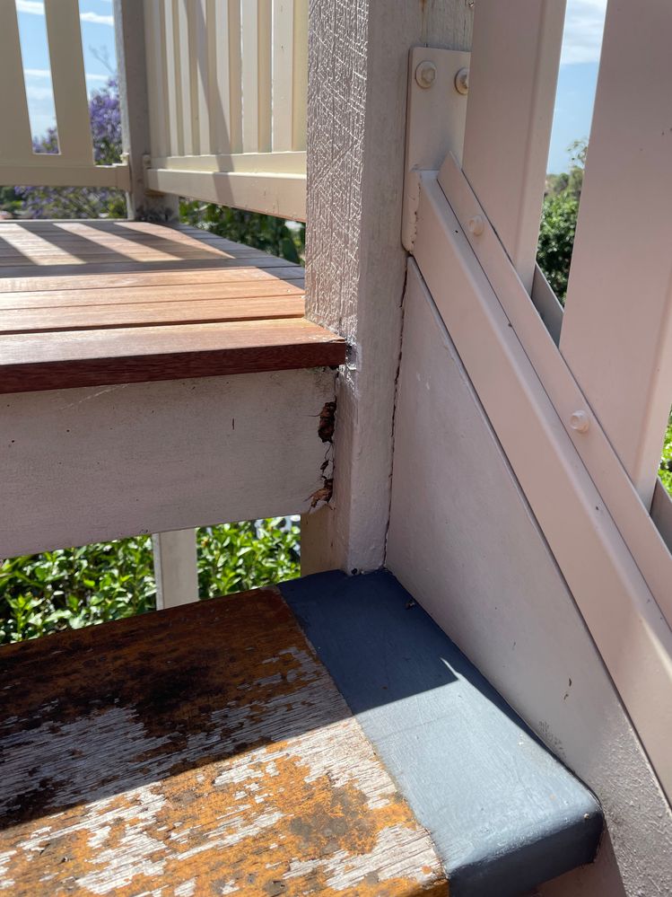 IMG_4893.jpeg IMG_4893.jpeg