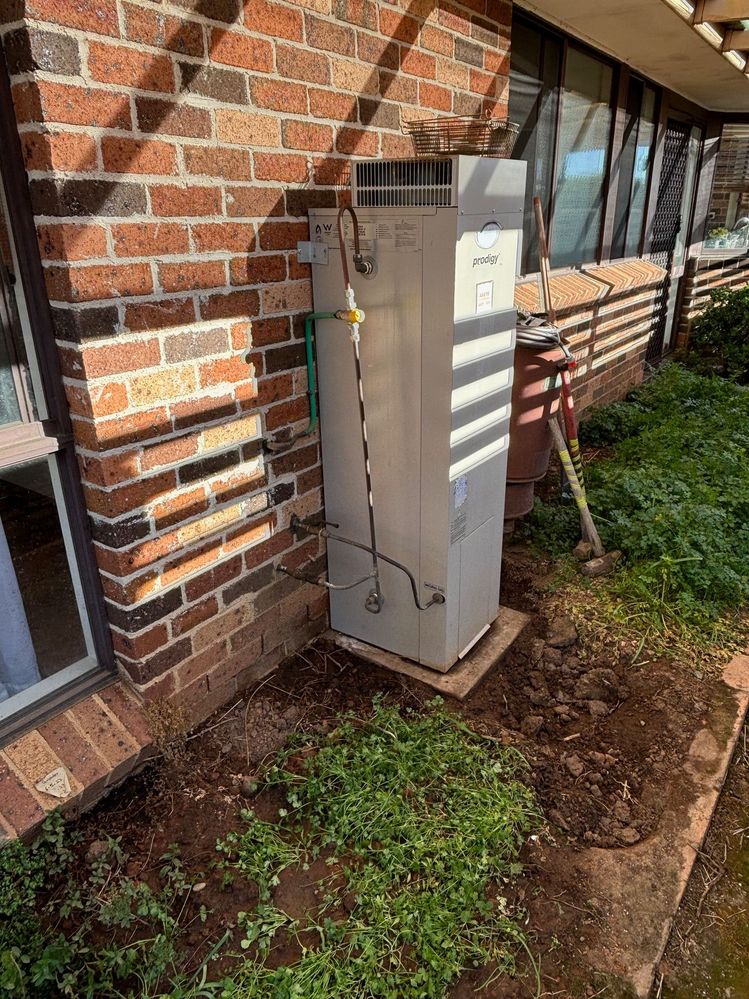 IMG_4447.jpg IMG_4447.jpg