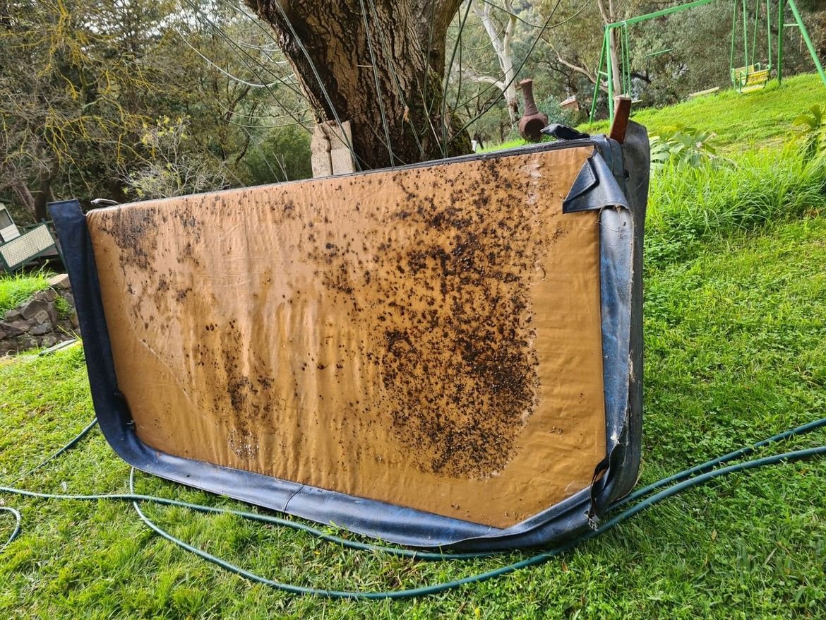 20220709_154734.jpg 20220709_154734.jpg