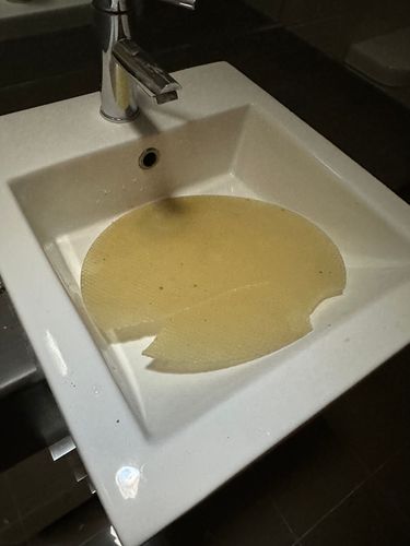 IMG_8501.jpeg IMG_8501.jpeg