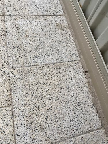 IMG_7033.jpeg IMG_7033.jpeg