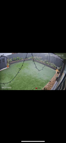 IMG_2597.png IMG_2597.png