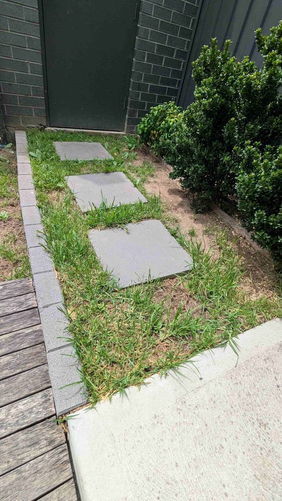 PXL_20241206_033349958.jpg PXL_20241206_033349958.jpg