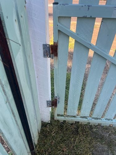 IMG_3520.jpeg IMG_3520.jpeg