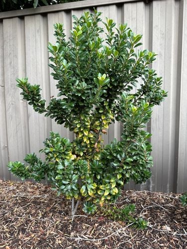 IMG_8629.jpeg IMG_8629.jpeg