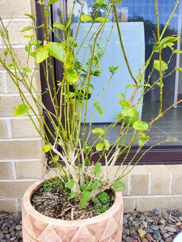 IMG_20211022_130539.jpg IMG_20211022_130539.jpg