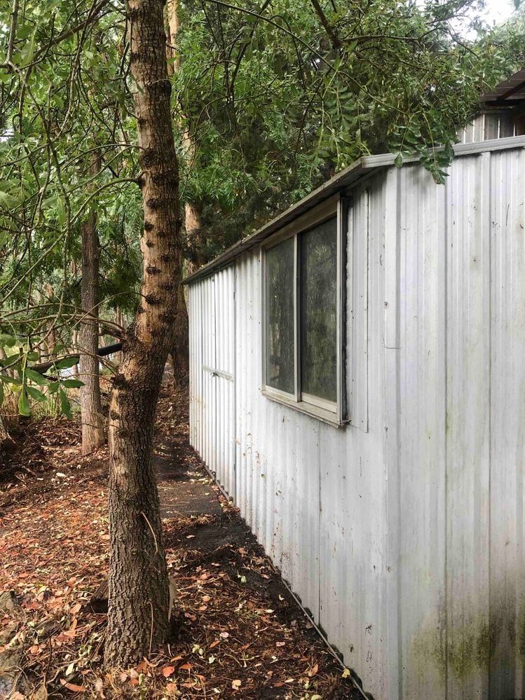 IMG_8490.jpeg IMG_8490.jpeg