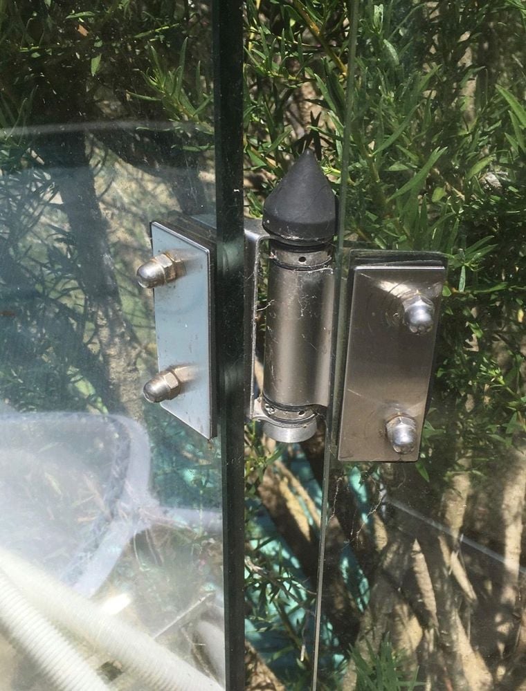 IMG_2118.jpg IMG_2118.jpg