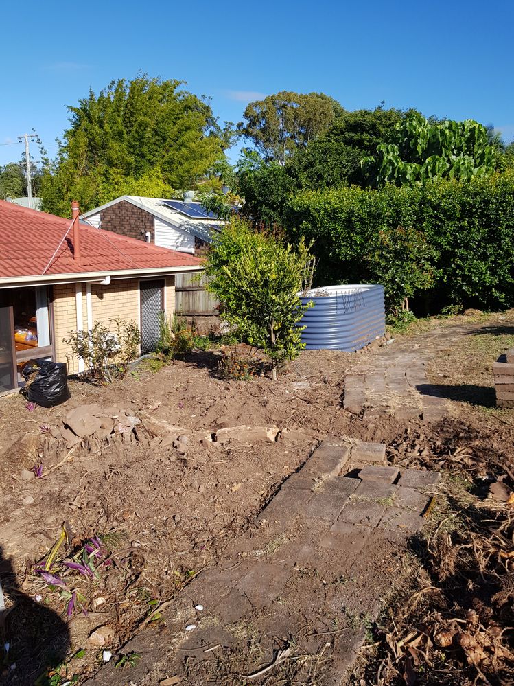 20200516_091606.jpg 20200516_091606.jpg