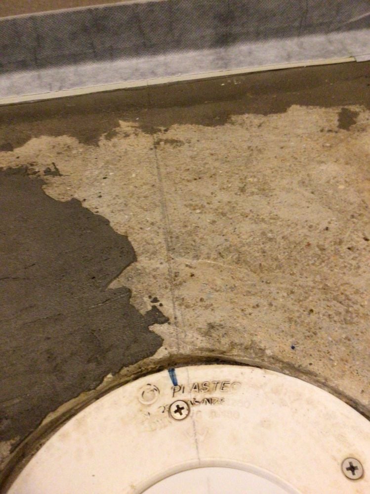 IMG_0099.jpeg IMG_0099.jpeg