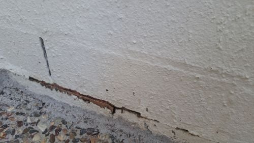 1000019967.jpg 1000019967.jpg