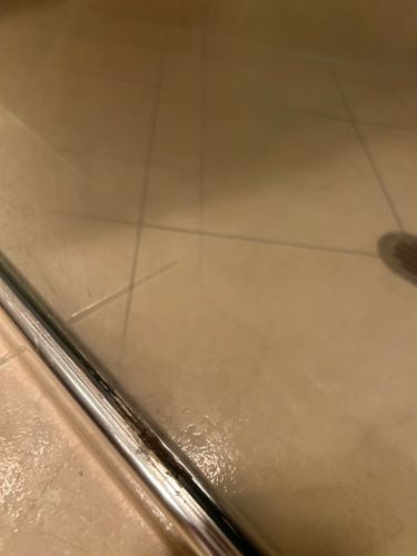 IMG_8313.jpeg IMG_8313.jpeg