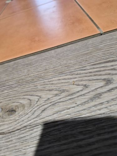 1000016847.jpg 1000016847.jpg